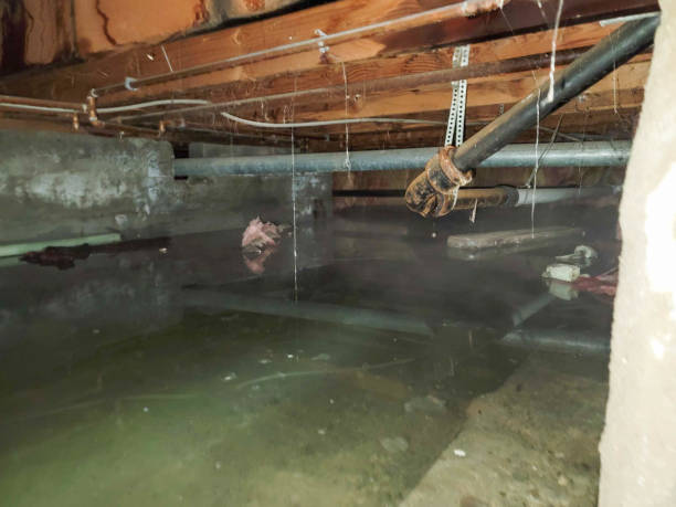 Best Water damage cleanup near me  in Orange Lake, NY