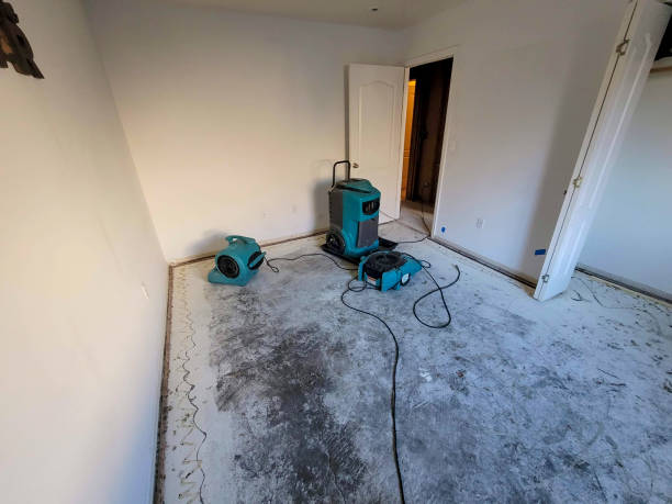 Best Residential water damage restoration  in Orange Lake, NY