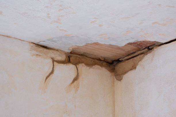 Best Sewage cleanup and water damage restoration  in Orange Lake, NY