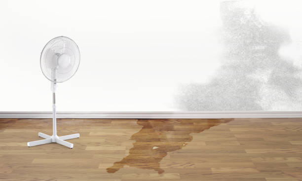 Best Water damage restoration experts  in Orange Lake, NY