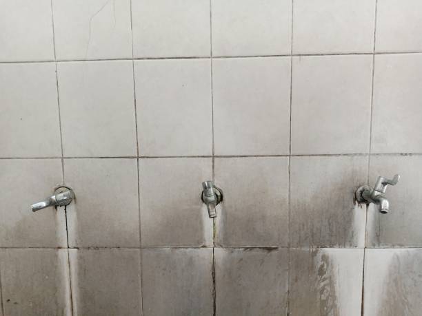 Best 24/7 water damage repair  in Orange Lake, NY
