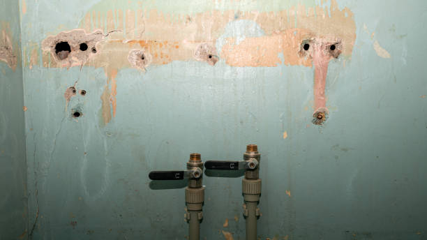Best Fire Damage Restoration  in Orange Lake, NY