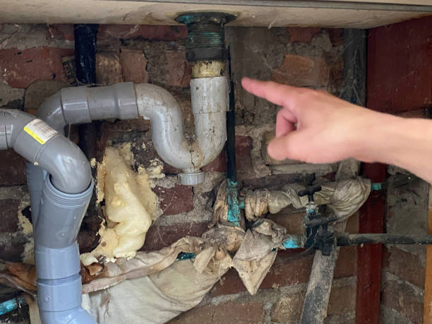 Best Water damage restoration near me  in Orange Lake, NY