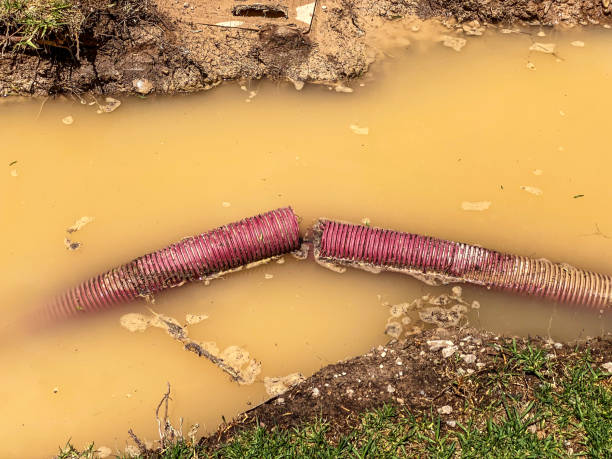 Best Water damage restoration near me  in Orange Lake, NY