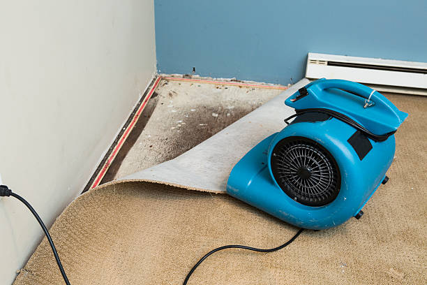 Best Water damage restoration process  in Orange Lake, NY
